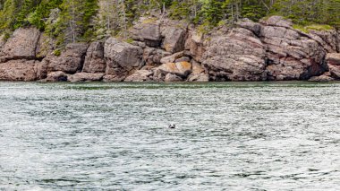 Yeni brunswick Kanada Atlantik Okyanusu San Andrew