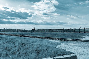 Polonya 'da Auschwitz ve Birkenhau