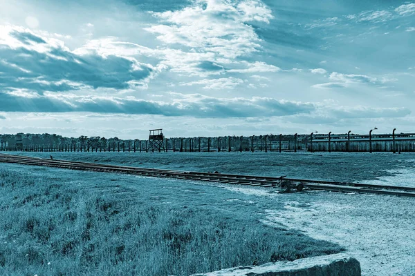 Polonya 'da Auschwitz ve Birkenhau