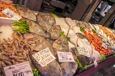 Venezia Venedik Şehri anıtları ve İtalya Kanalı