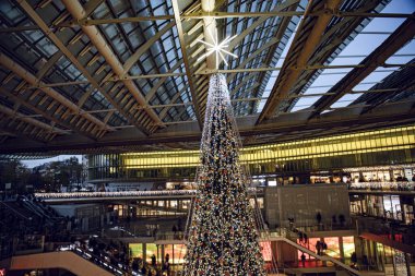 Paris başkent caddeleri ve şehir merkezindeki anıtlar