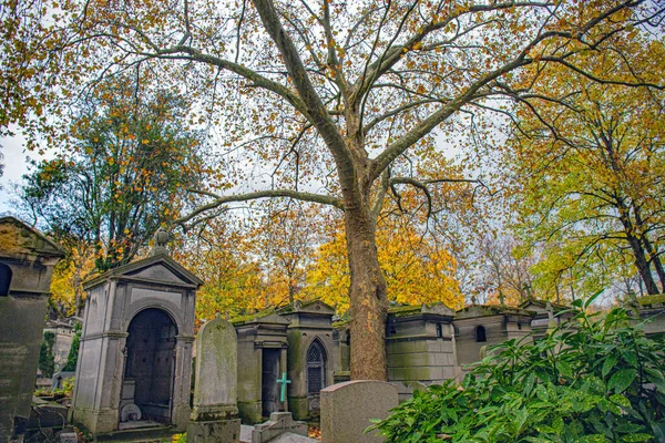 Paris başkent caddeleri ve şehir merkezindeki anıtlar