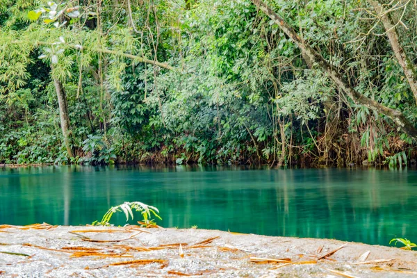 Karayip Denizi 'nde Jamaika manzarası ve doğa 