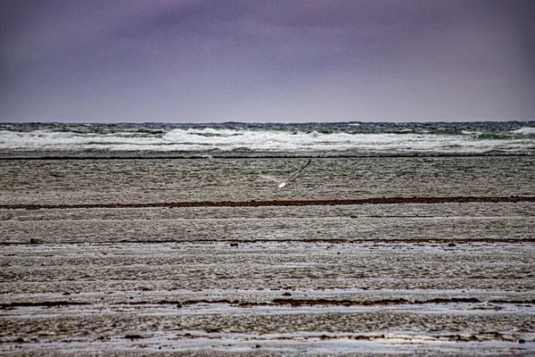 Fransız Atlantik Okyanusu 'ndaki Oleron Adası