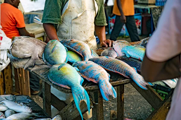 Tanzanya 'nın güzel manzarası ve gölgeleri 