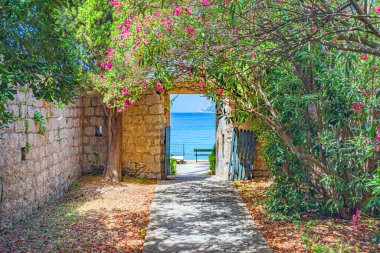 Hırvat Denizi 'ndeki Adriyatik Elaphiti Adası
