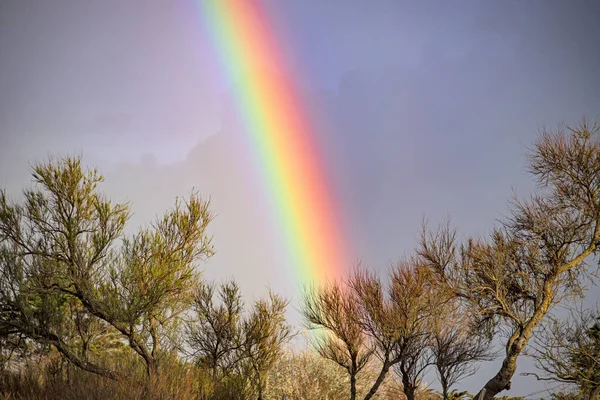 Fransız Atlantik Okyanusu 'nda sahilde gökkuşağı