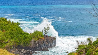 Hint Okyanusu langevin yarımadasındaki Runion Adası 'nın güneyi.
