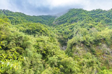 Hint Okyanusu langevin yarımadasındaki Runion Adası 'nın güneyi.