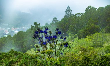 Hint Okyanusu Buluşma Adası 'ndaki Cilaos Sirk Dağları