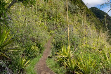 Hint Okyanusu ve Taştan Nehir Adası 'ndaki Sirk Dağları' nı Mafyalarız.