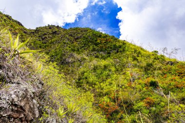 Hint Okyanusu ve Taştan Nehir Adası 'ndaki Sirk Dağları' nı Mafyalarız.
