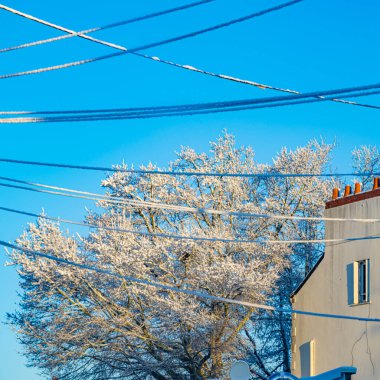 Nantes Fransız şehri kışın kar altında