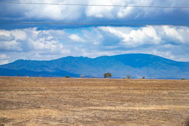 Afrika manzarası ve Hint Okyanusu 'ndaki doğa