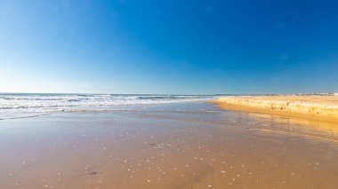 İspanyol okyanus dalgaları ve plajları