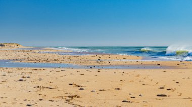 İspanyol okyanus dalgaları ve plajları