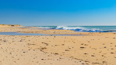 İspanyol okyanus dalgaları ve plajları