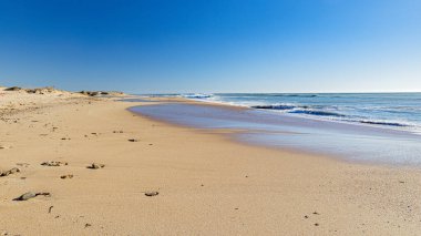 İspanyol okyanus dalgaları ve plajları