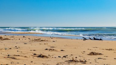 İspanyol okyanus dalgaları ve plajları