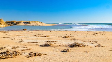 İspanyol okyanus dalgaları ve plajları