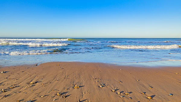 İspanyol okyanus dalgaları ve plajları