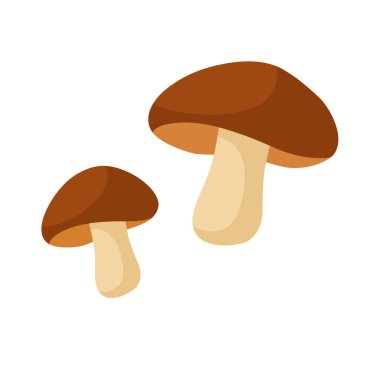 Kahverengi şapkalı ve ışık saplı iki orman mantarının hoş bir tasviri. Orman temaları ve sonbahar havasını sembolize ediyor. Doğa grafikleri, gıda projeleri, eğitim materyalleri, mevsimlik tasarımlar ve dekoratif kompozisyonlar için uygundur..