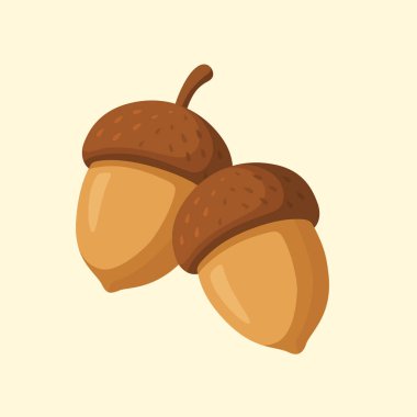 Düz vektör tarzında iki meşe palamudu tasviri. Açık arkaplanda doğal sıcak renklerde sonbahar fındık tasarımı izole.