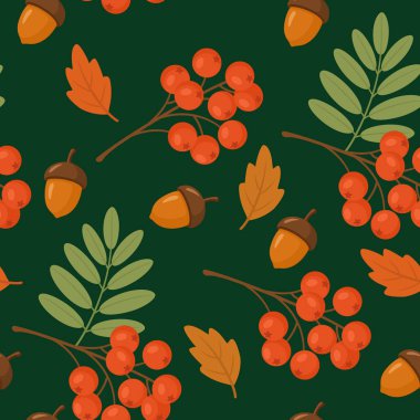 Koyu yeşil arka planda Rowan böğürtlen kümeleri, meşe palamutları ve renkli meşe yapraklarıyla kusursuz sonbahar ormanı deseni. Mevsimlik tasarımlar, ambalajlar, kumaş baskıları, duvar kağıtları ve sonbahar temalı projeler için mükemmel..