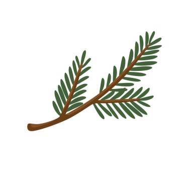 Kısa iğneleri ve doğal kahverengi sapı olan küçük bir dik ladin dalı. Kış kompozisyonları, şenlik dekorları, botanik temalar, tebrik kartları ve mevsimlik sanat eserleri için ideal..