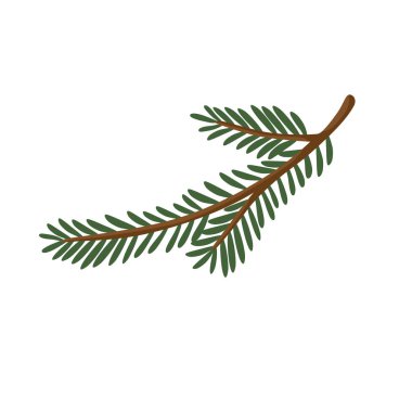 Kahverengi saplı ve yoğun yeşil iğneli doğal kıvrımlı tek bir yeşil ladin dalı. Kış tasarımları, tatil dekorasyonu, botanik kompozisyonlar, tebrik kartları ve mevsimsel çizimler için uygundur..