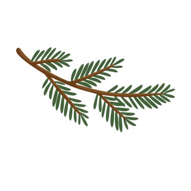 Yoğun yeşil iğneler ve doğal kahverengi bir sapla çizilmiş köşegen bir ladin dalı. Mevsimlik sanat eserleri, kış tasarımları, botanik kompozisyonlar, tebrik kartları ve dekoratif projeler için uygundur..