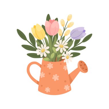 Bahar laleleri ve papatyalarla dolu dekoratif bir sulama kutusunun düz çizimi. Yumuşak pastel çiçekler ve taze yeşil yapraklar hafif mevsimlik bahçe kompozisyonu oluşturur. Tebrik kartları, posterler, tekstil baskıları, ambalaj tasarımı için elverişli