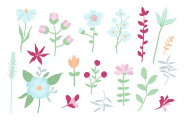 Dekoratif çiçekler ve çiçek unsurlarıyla vektör çizimi. Modern düz tasarım.