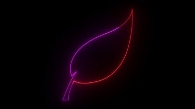 Glowing neon leaf animation on black background