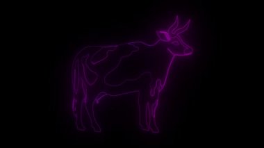 Holstein ineğinin soyut neon çizgisi. Siyah arka planda pembe bir parıltı var.