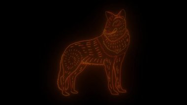 Görkemli bir kurdun parıldayan neon çizgisi. Karanlık bir arkaplanda gururla duruyor.