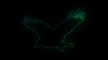 Parlayan neon çizgileri olan görkemli kartal silueti koyu bir arkaplanda uçuyor.