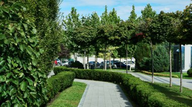 Dolambaçlı bir kaldırım yolu, titizlikle budanmış yeşil çitler ve berrak mavi gökyüzünün altındaki süs ağaçlarının bulunduğu modern bir parkın manzarası..