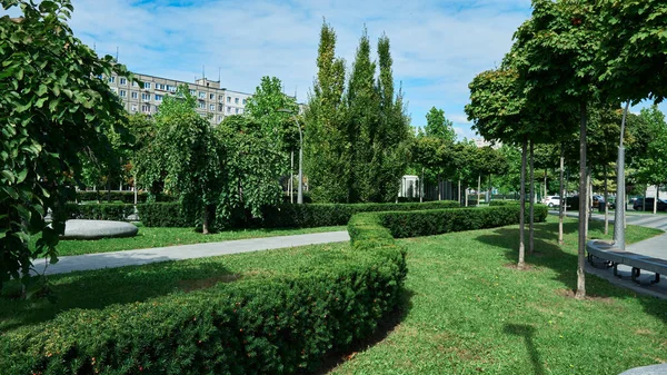 Titizlikle budanmış çalılar, yemyeşil çimenler ve çeşitli ağaçların yer aldığı sakin bir şehir parkı sahnesi. Dolambaçlı asfalt bir yol huzurlu bir arazide yol gösteriyor. Arka planda parlak, güneşli bir gökyüzüne karşı görünen modern bir bina var..