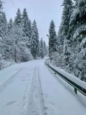 Karla kaplı bir yolun yer aldığı sakin bir kış manzarası. Taze beyaz karla dolu, sık ve yeşil ağaçlardan oluşan bir ormanın içinden geçiyor. Lastik ve hayvan izleri el değmemiş yüzeyi işaret ediyor, sağ tarafında metal bir bariyer var.. 