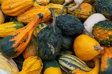 Çerçeveyi canlı küçük ve orta turuncu balkabaklarından oluşan bir yığın doldurur, hasat, pazar ve mevsimlik dekorlar için mükemmeldir. Stok fotoğrafları ve reklamlardaki sonbahar ya da Cadılar Bayramı temaları için harika.