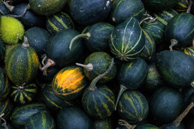 Çerçeveyi canlı küçük ve orta turuncu balkabaklarından oluşan bir yığın doldurur, hasat, pazar ve mevsimlik dekorlar için mükemmeldir. Stok fotoğrafları ve reklamlardaki sonbahar ya da Cadılar Bayramı temaları için harika.