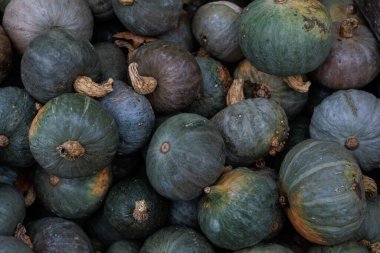 Çerçeveyi canlı küçük ve orta turuncu balkabaklarından oluşan bir yığın doldurur, hasat, pazar ve mevsimlik dekorlar için mükemmeldir. Stok fotoğrafları ve reklamlardaki sonbahar ya da Cadılar Bayramı temaları için harika.