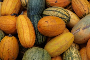 Çerçeveyi canlı küçük ve orta turuncu balkabaklarından oluşan bir yığın doldurur, hasat, pazar ve mevsimlik dekorlar için mükemmeldir. Stok fotoğrafları ve reklamlardaki sonbahar ya da Cadılar Bayramı temaları için harika.