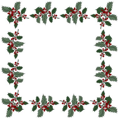 Christmas plant holly berries frame wreath. Winter seasonal decoration plant with green leaves. Xmas and New Year element collection
