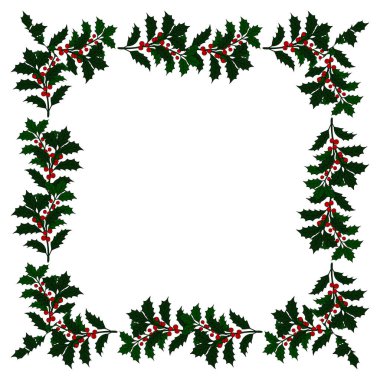 Christmas plant holly berries frame wreath. Winter seasonal decoration plant with green leaves. Xmas and New Year element collection