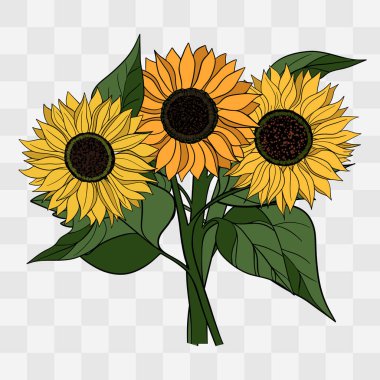 Ayçiçeği açan buket. Botanik yazında yapraklı sarı çiçekler.