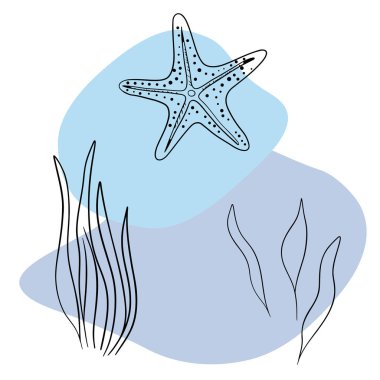 Deniz kabuğu deniz hattı sanat simgeleri, okyanus ve deniz plajı deniz kabukları mercan deniz kabukları su altı çizgileri