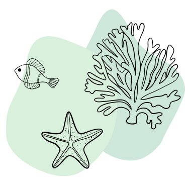 Deniz kabuğu deniz hattı sanat simgeleri, okyanus ve deniz plajı deniz kabukları mercan deniz kabukları su altı çizgileri