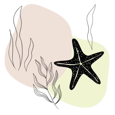 Deniz kabuğu deniz hattı sanat simgeleri, okyanus ve deniz plajı deniz kabukları mercan deniz kabukları su altı çizgileri